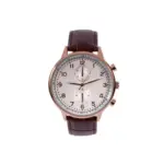 Automatic watch wa0018